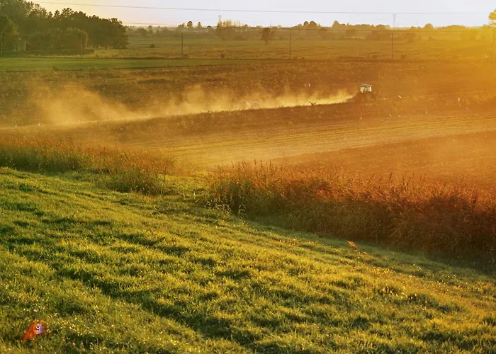 Appartamento Corte Stellata Il Grano Bondeno
